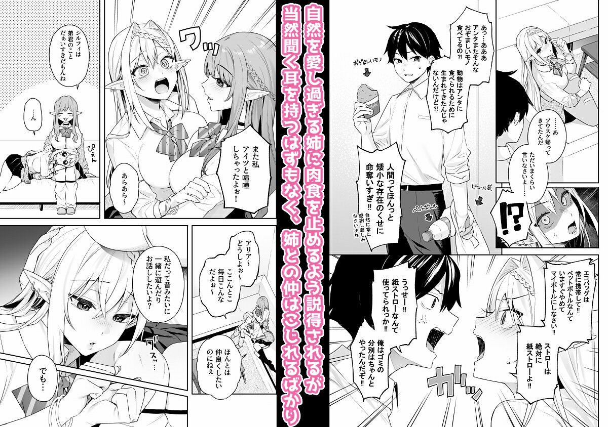 サンプル画像2