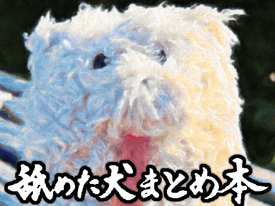 舐めた犬 「舐めた犬まとめ本」犬好き必見！舐めた犬たちの爆笑日常！