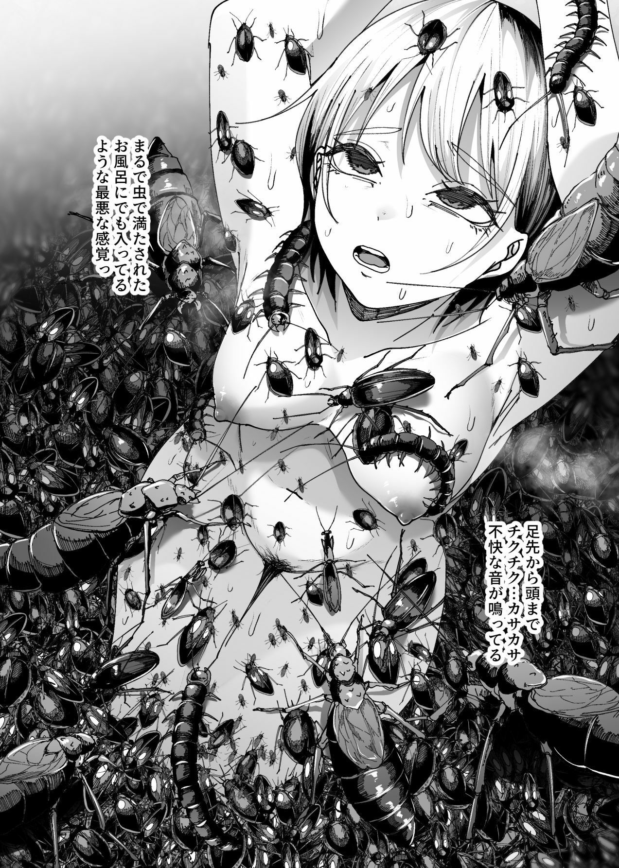 サンプル画像5