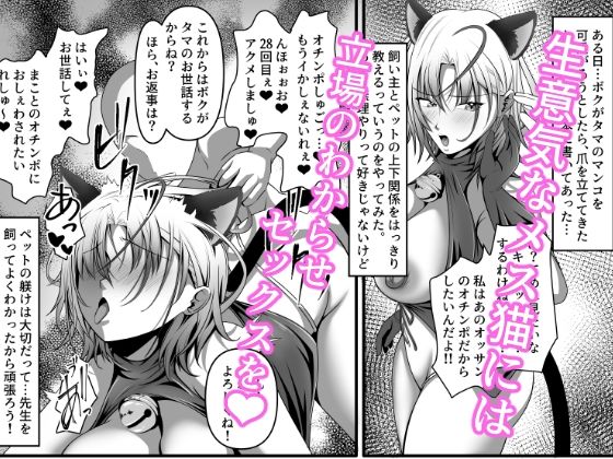サンプル画像2