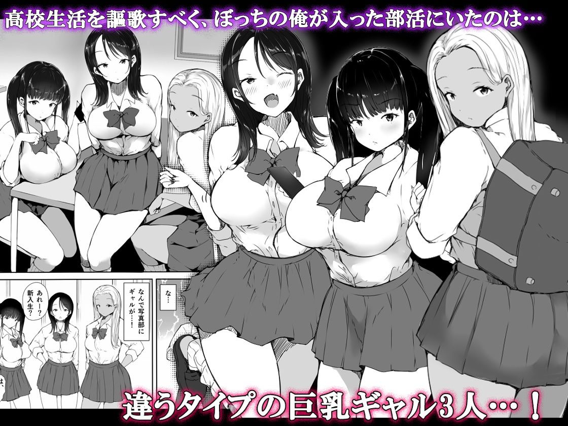 サンプル画像1