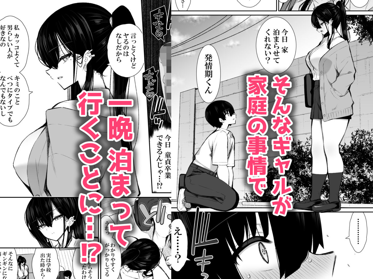サンプル画像3