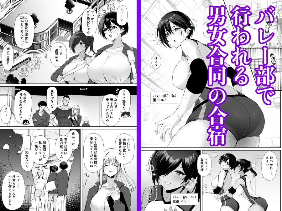 サンプル画像1