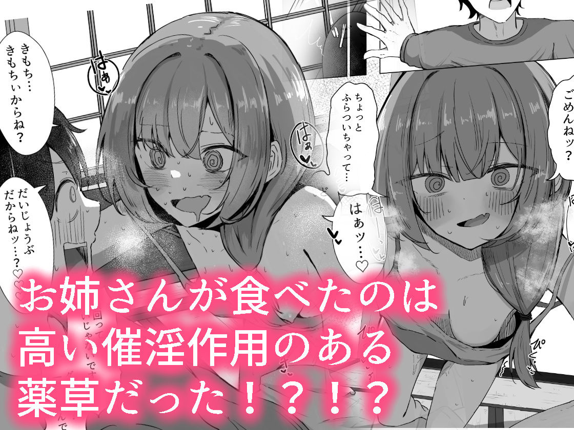サンプル画像3