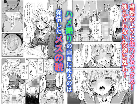 サンプル画像3