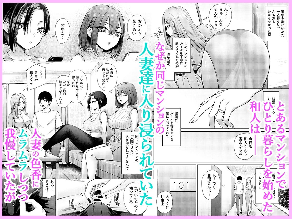 サンプル画像1