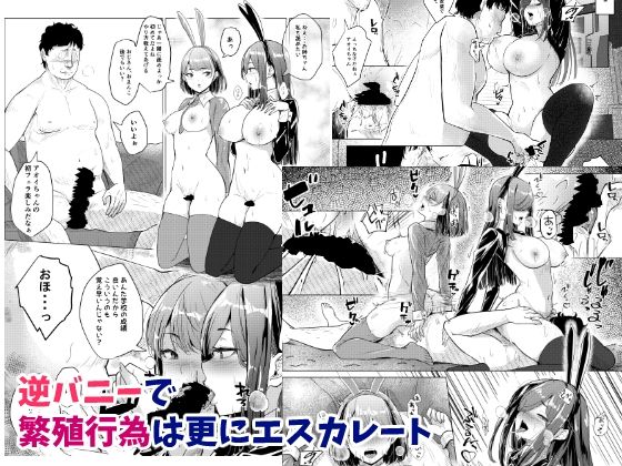 サンプル画像5