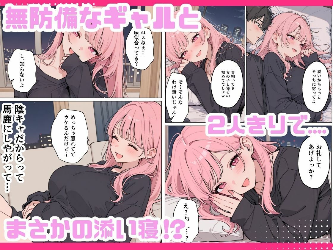 サンプル画像5