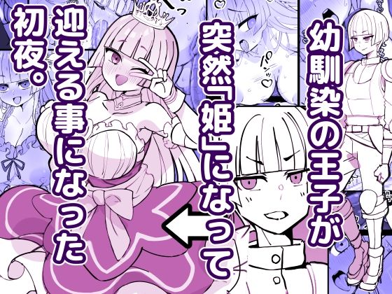 ひだかまいにち 「幼馴染の王子が突然「姫」になって迎える事になった初夜。」幼馴染の王子が美しき姫に変身！
