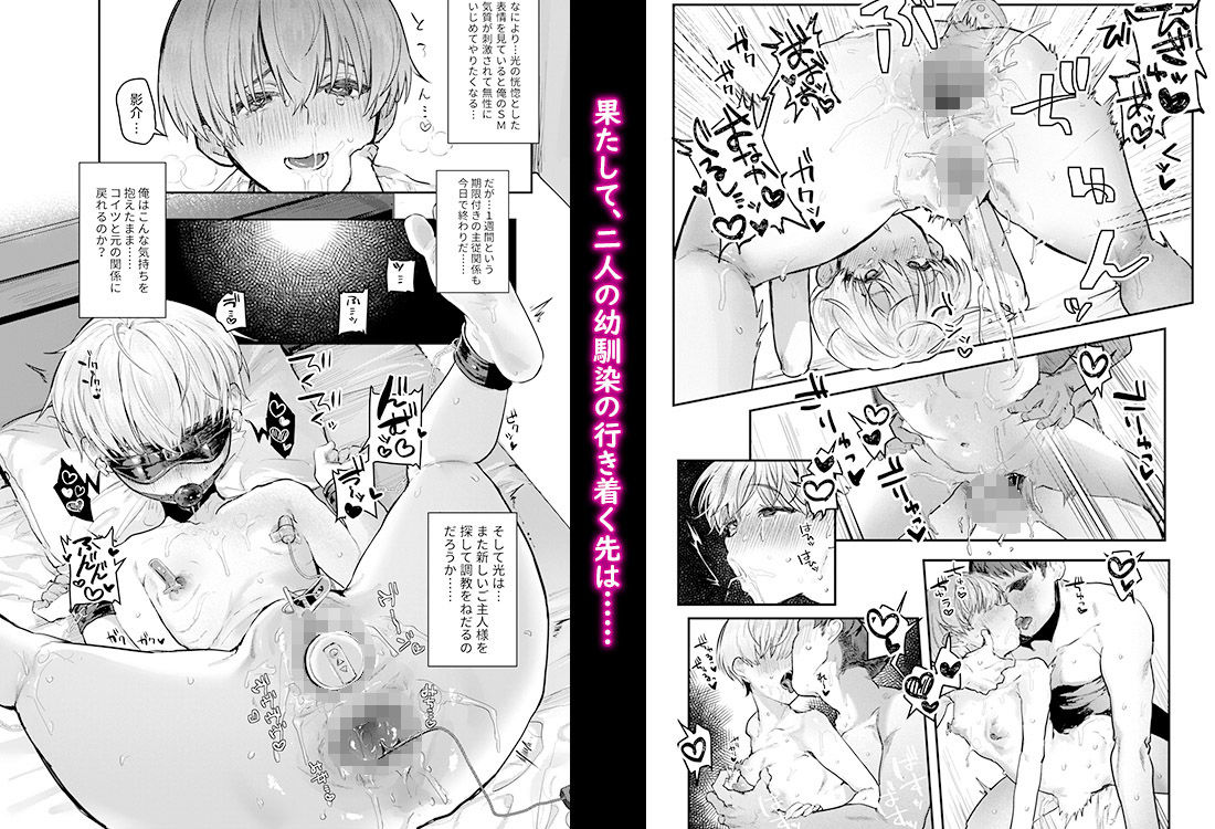 サンプル画像5