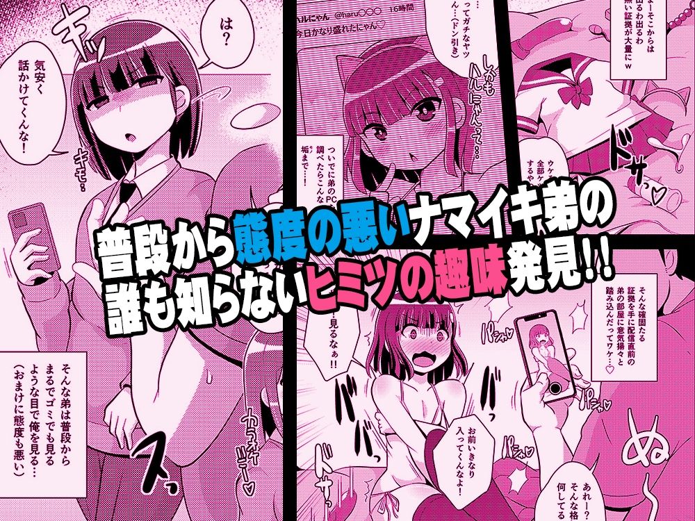 サンプル画像1