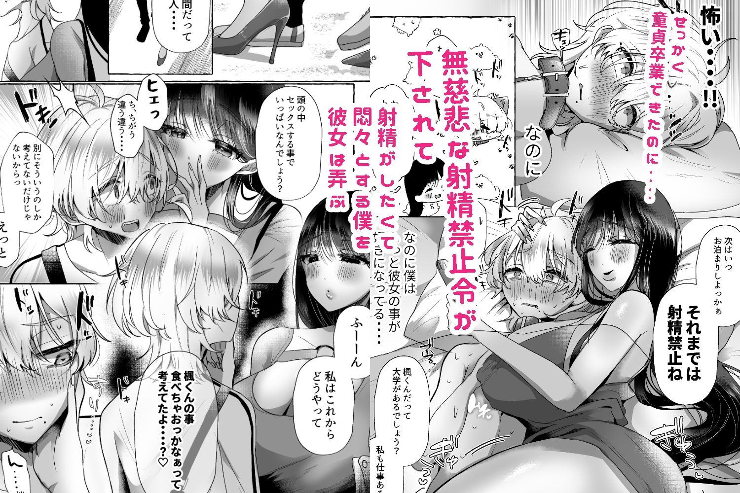 サンプル画像5