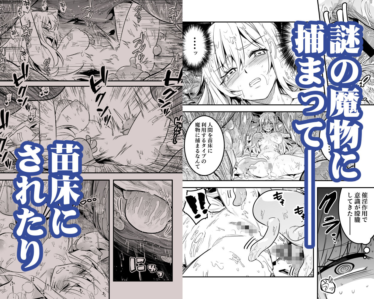 サンプル画像2