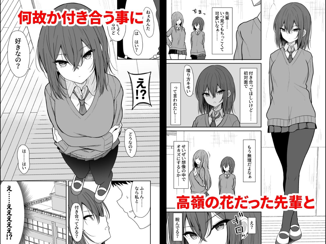 サンプル画像1