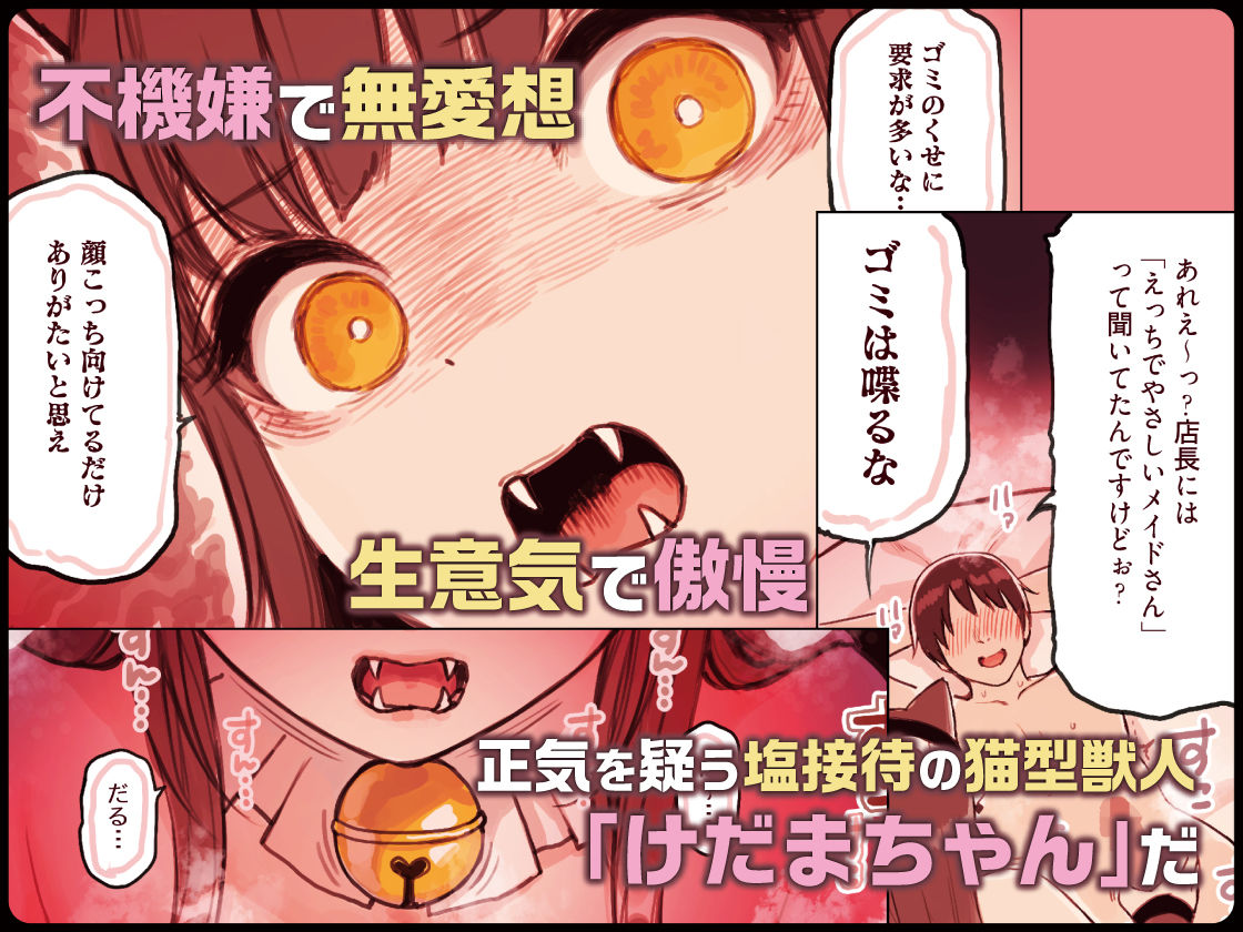 サンプル画像3