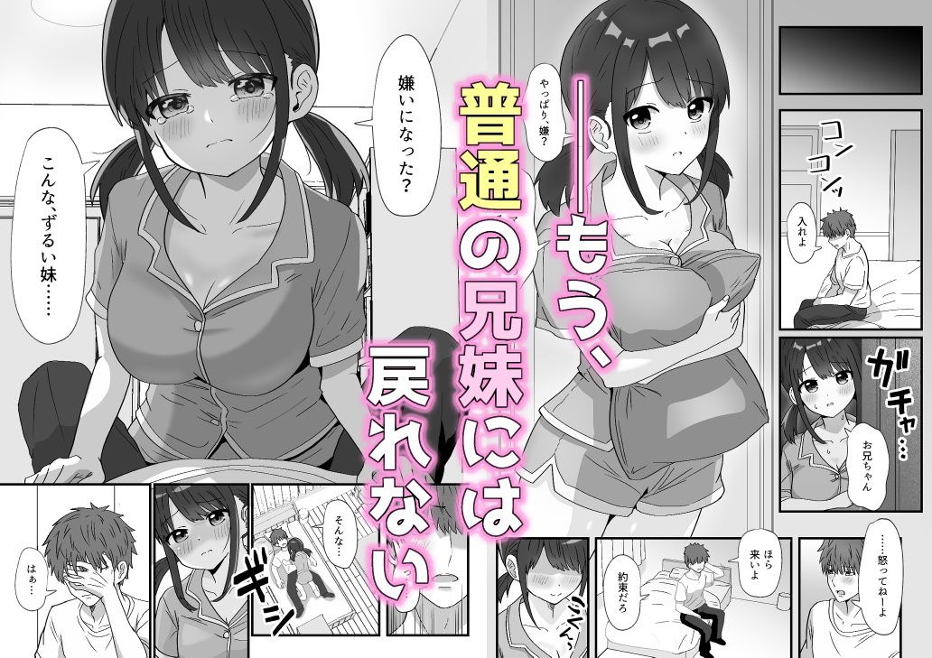 サンプル画像5