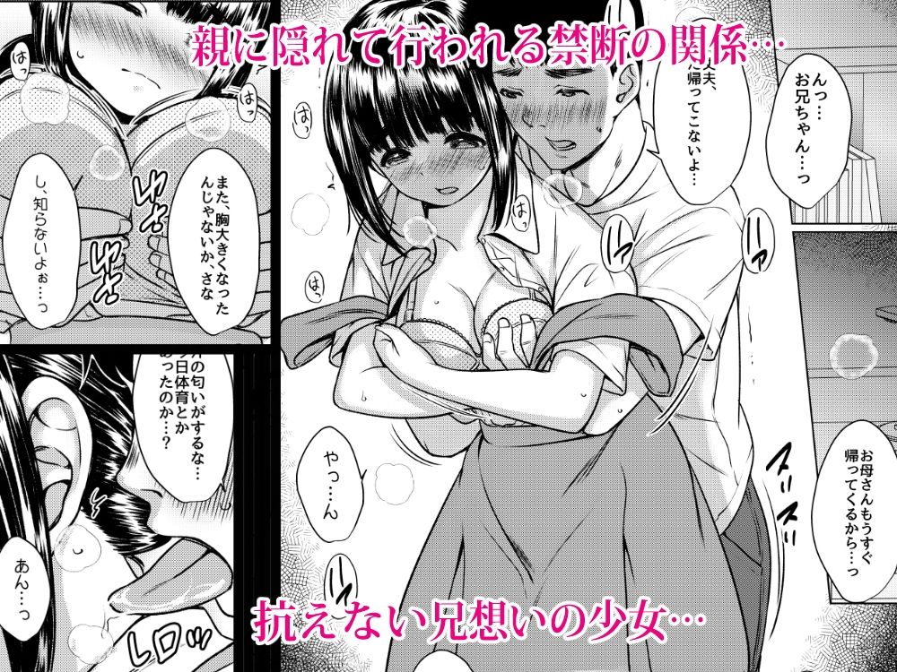 サンプル画像2