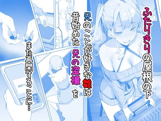 サンプル画像2