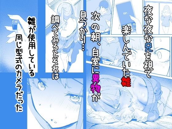サンプル画像3