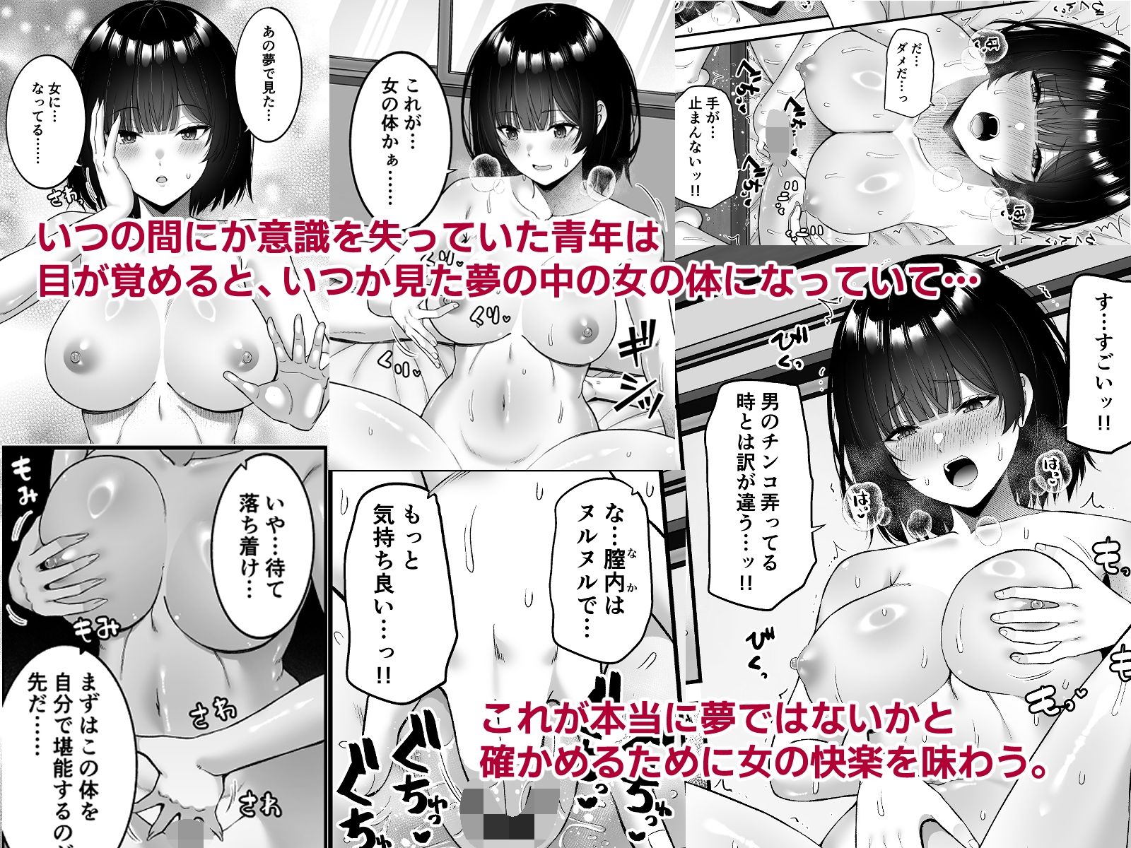サンプル画像2