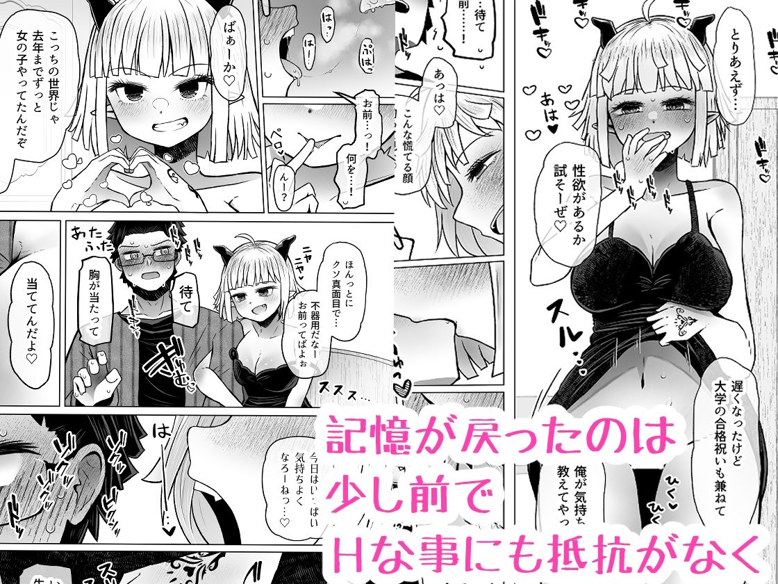 サンプル画像3