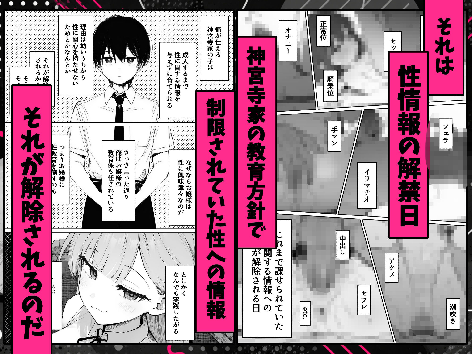 サンプル画像2