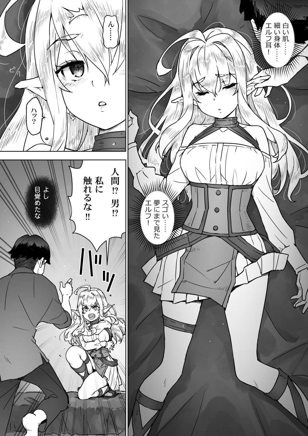 サンプル画像3