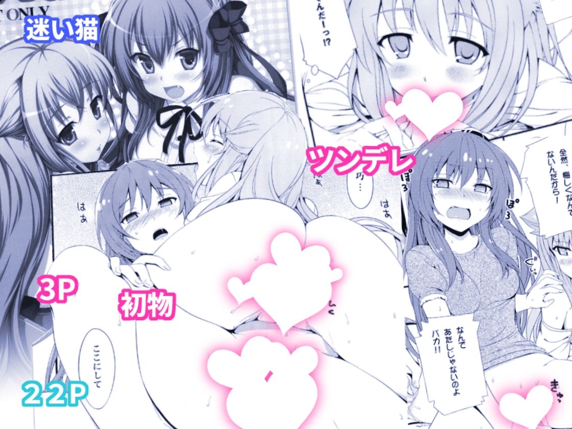 サンプル画像5