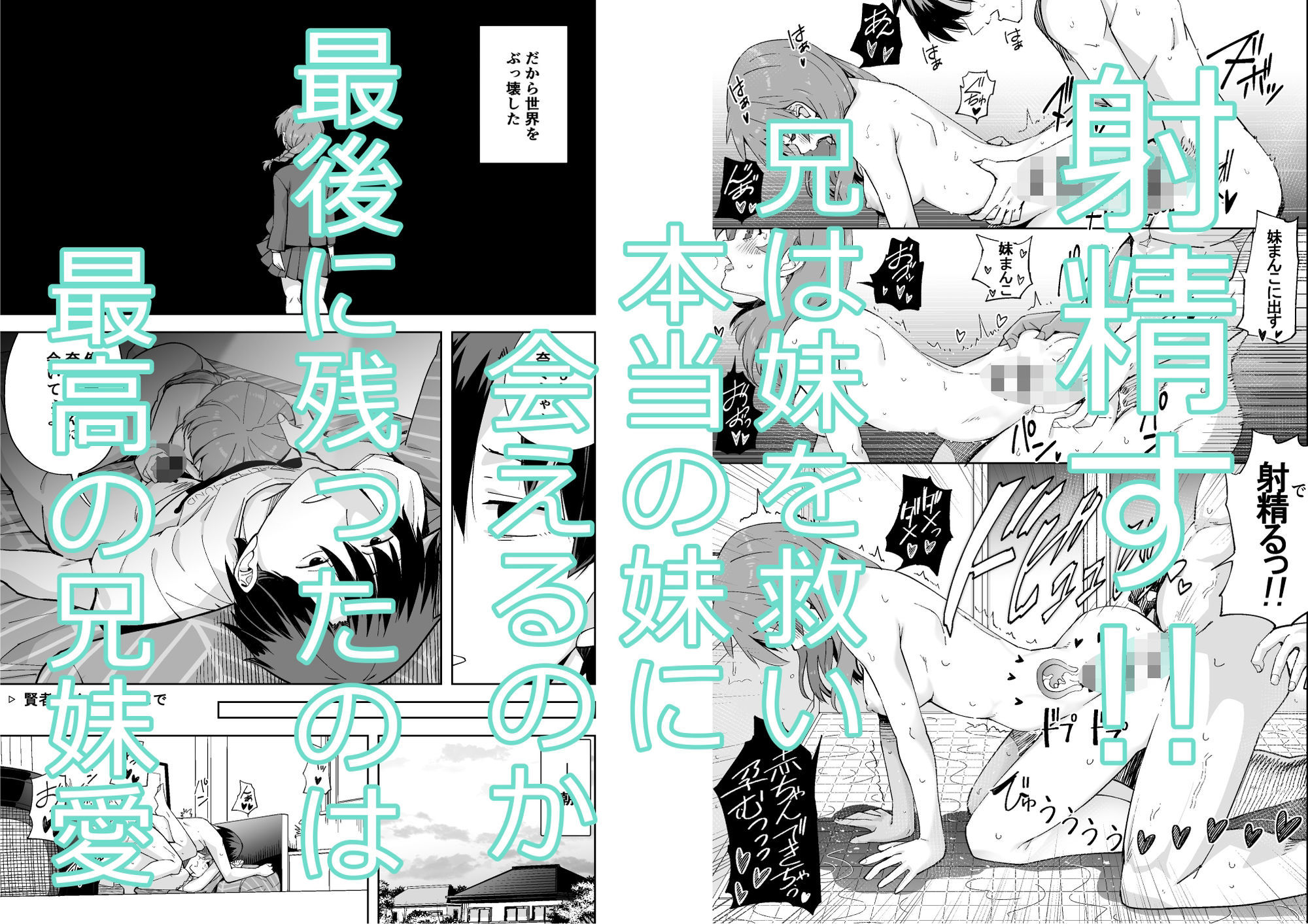 サンプル画像5