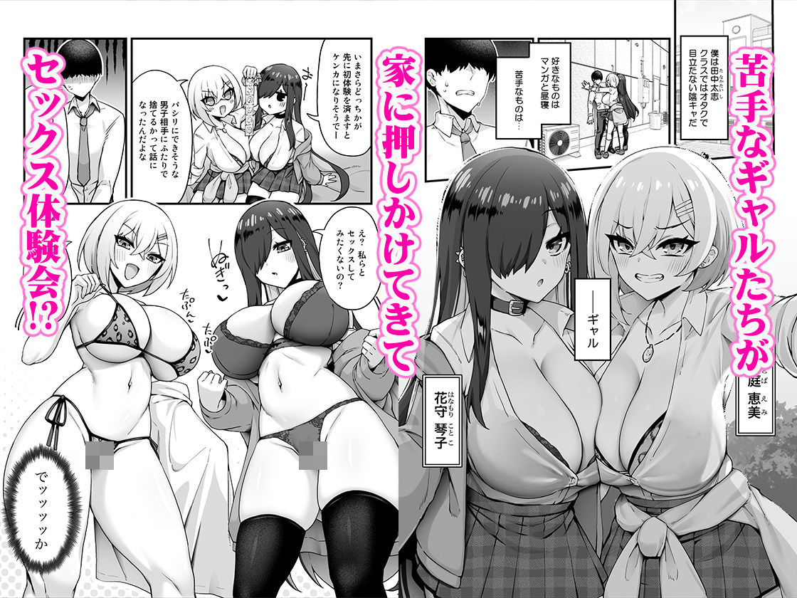 サンプル画像1