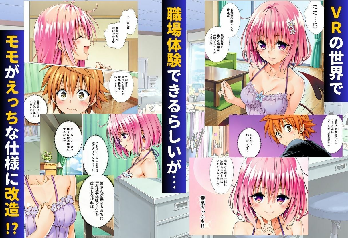 サンプル画像2